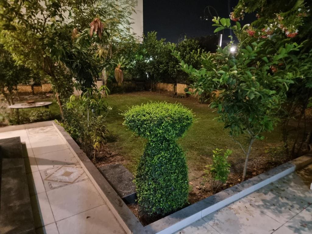 Elegance Abounds - View 6
