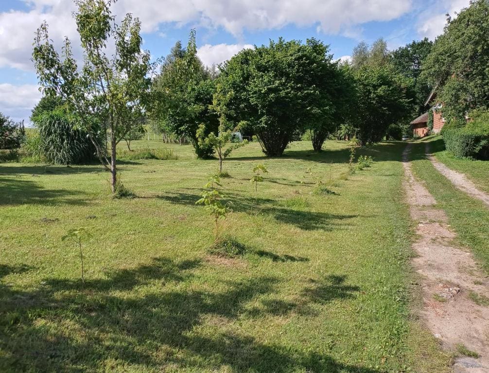 Agroturystyka Pod Dębem - View 4