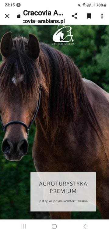 Agroturystyka Premium Cracovia Arabians Ojcowski Park - Weergave 2