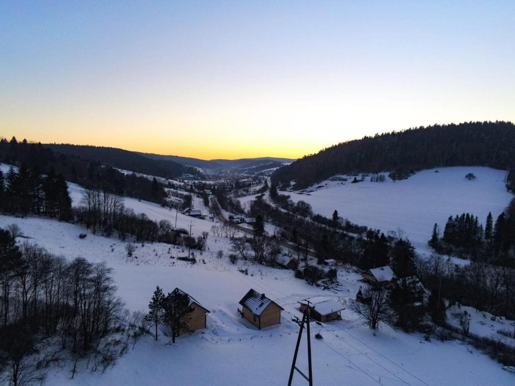 Leśny dzban - View 3