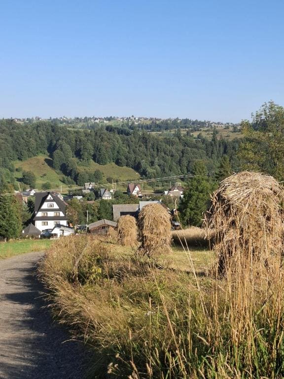 Na Górce W Białym Dunajcu - View 4