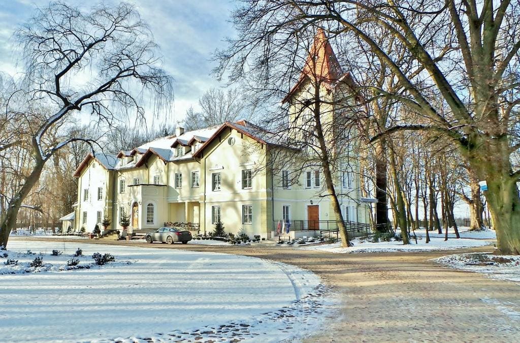 Pałac Kobylin - View 6