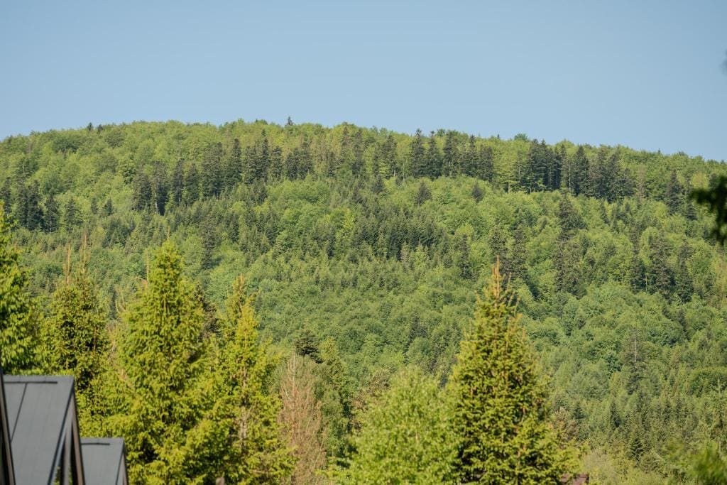 Korbielów 6 - View 3