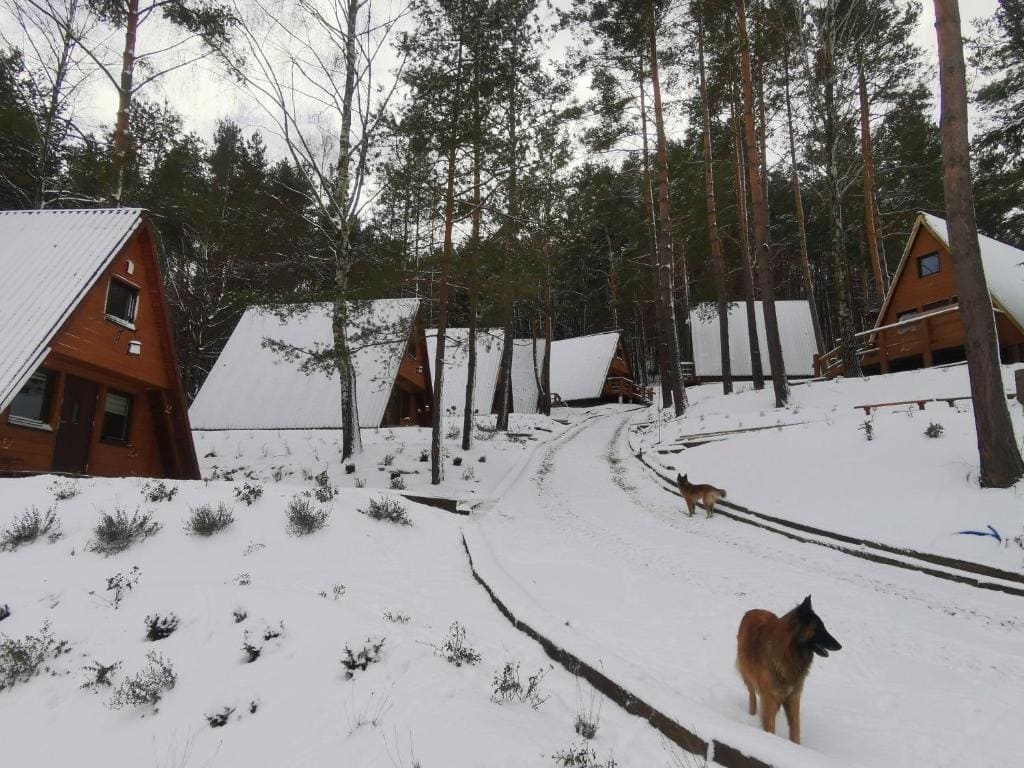 Przystań nad Sanem z widokiem na góry i rzekę - View 5