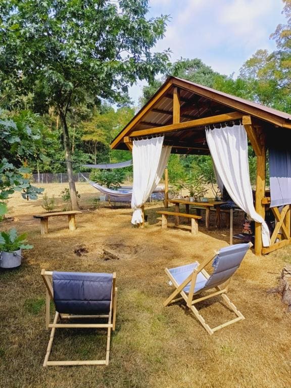 Wood Camping - View 6