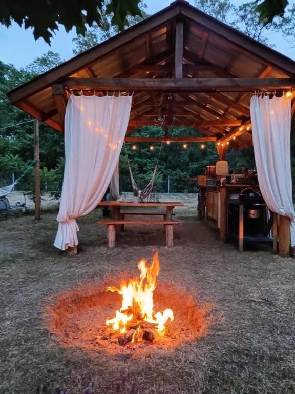 Wood Camping - Main view
