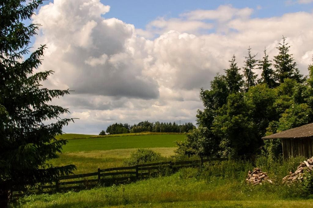 Zakątek Szczęścia Eko Agroturystyka - View 5