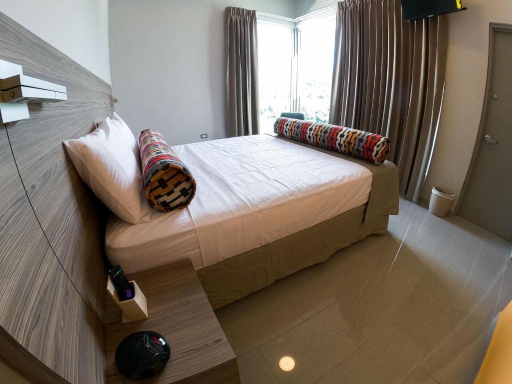 Royal Delonix - View 7