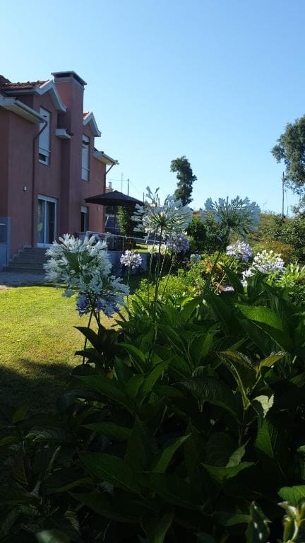 Alto Belo - Main view