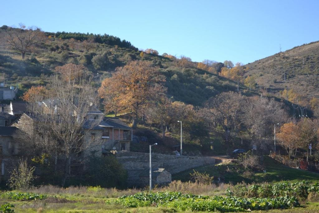 Casa de Onor - View 3
