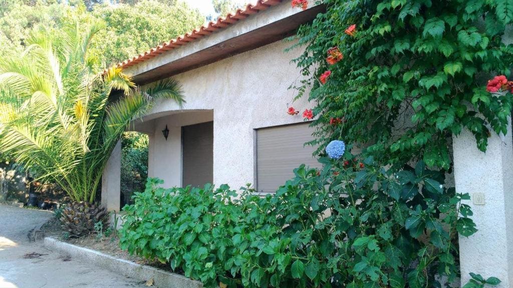 Casa Deus - Main view