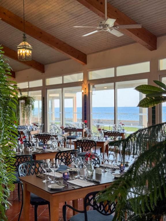 Albatroz Beach & Yacht Club - View 3