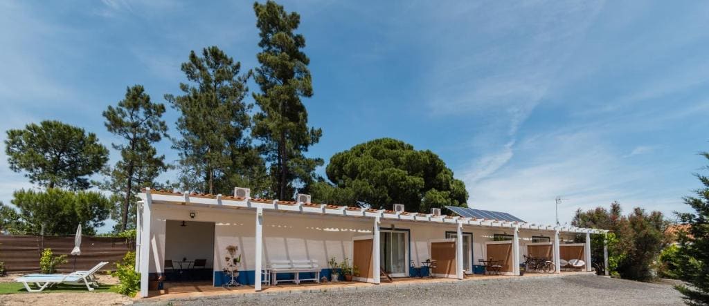 MontePico - Main view