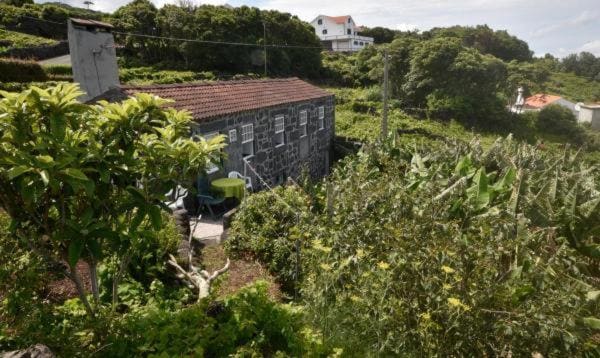 Adega do Gato - Main view
