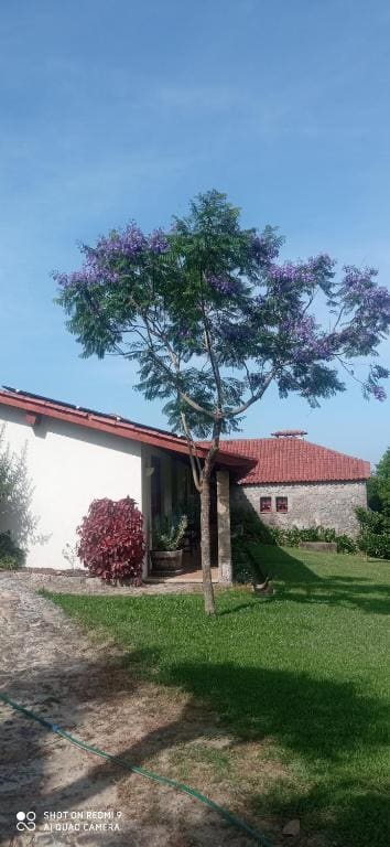 Quinta Souto Chão - Main view