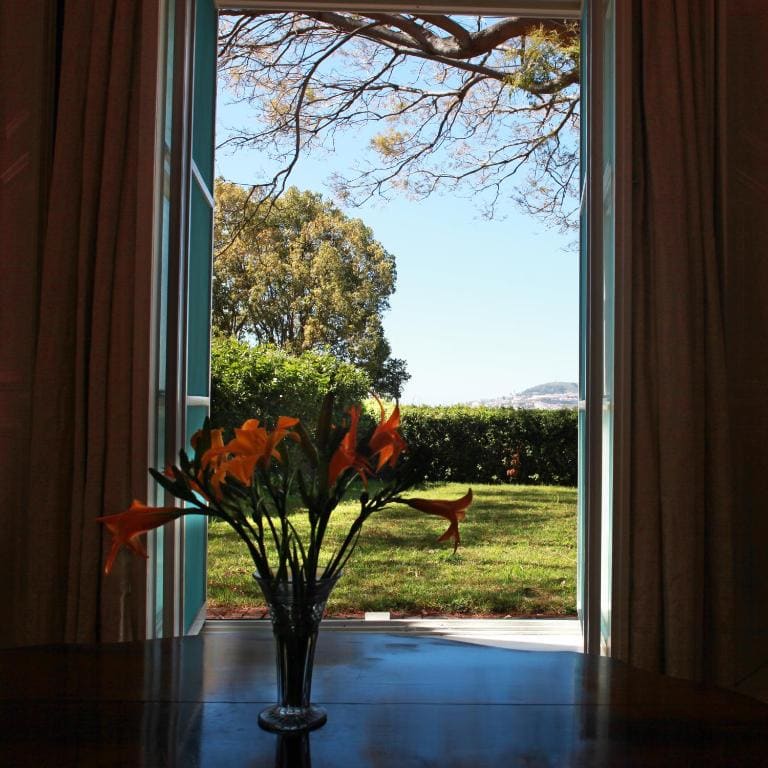 Quinta das Malvas - Quinta de Santa Luzia - View 4