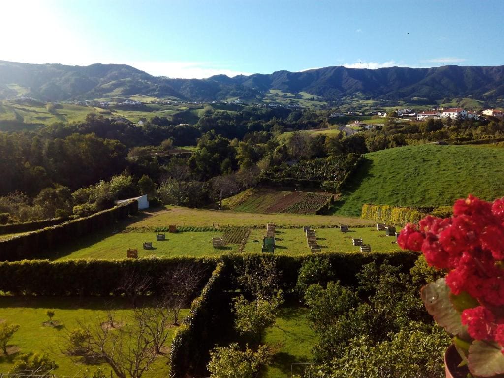 Quinta do Quarteiro - View 6