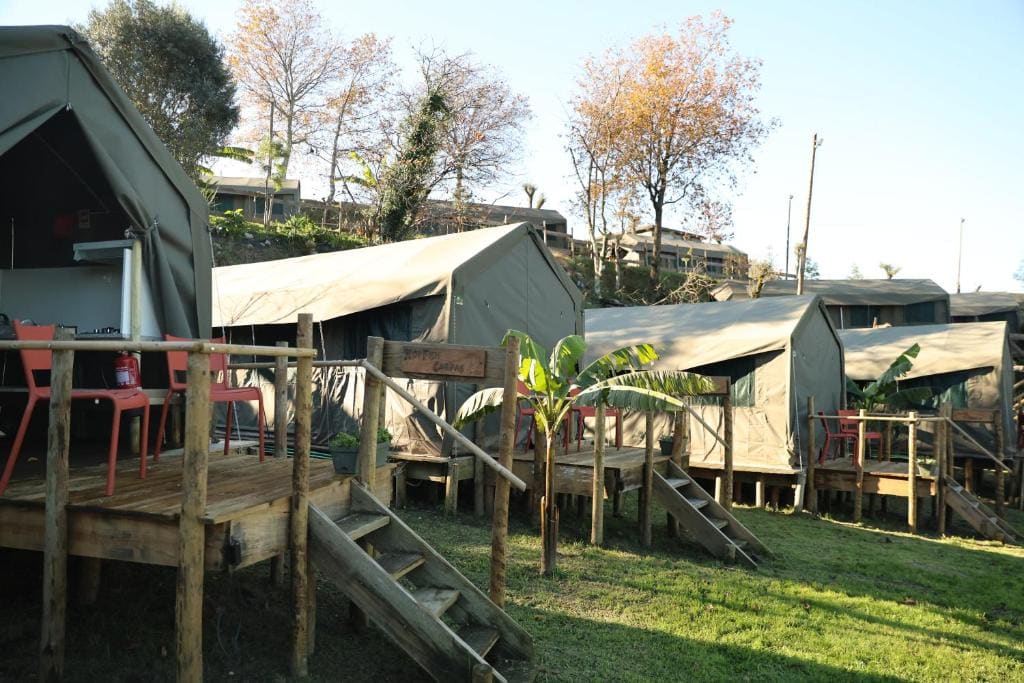 Safari Glamping Portugal Penguin - View 2