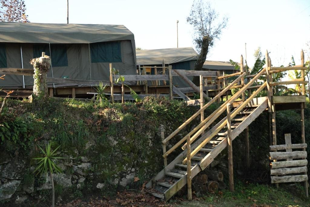 Safari Glamping Portugal Penguin - View 4