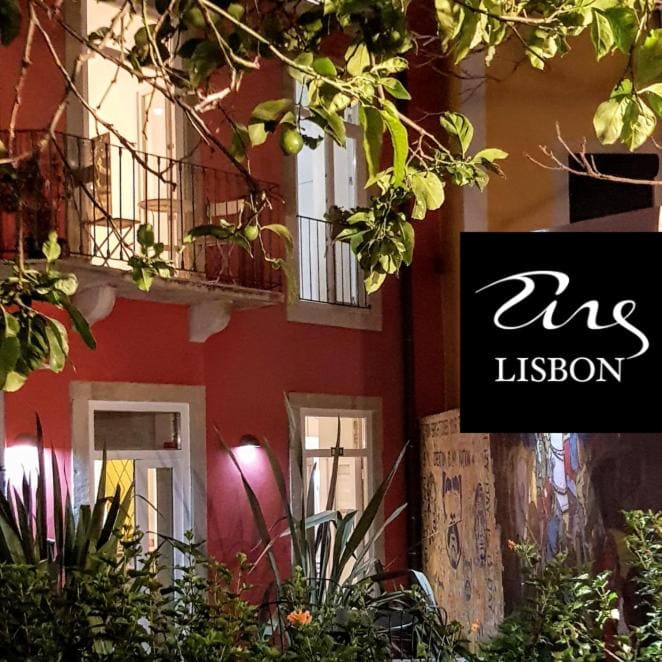 Tings Lisbon - Main view