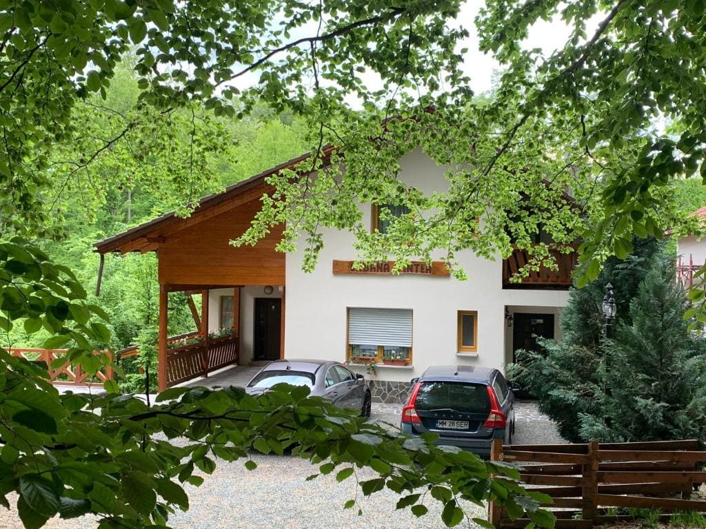 Pintea Chalet - View 6
