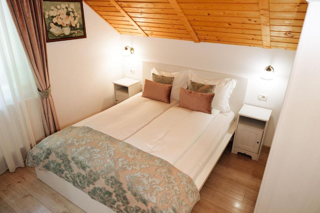 Pintea Chalet - View 7