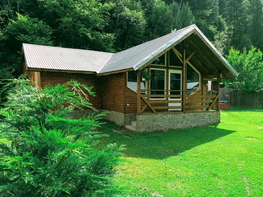 Casa de Vacanta Aurelia - Main view