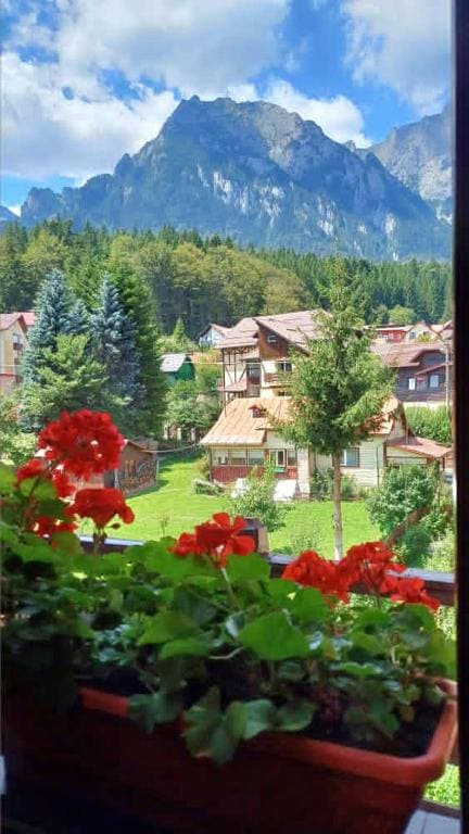 Casa Montana Busteni - View 6