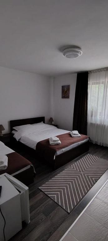 CASA RYANA SINAIA - View 4