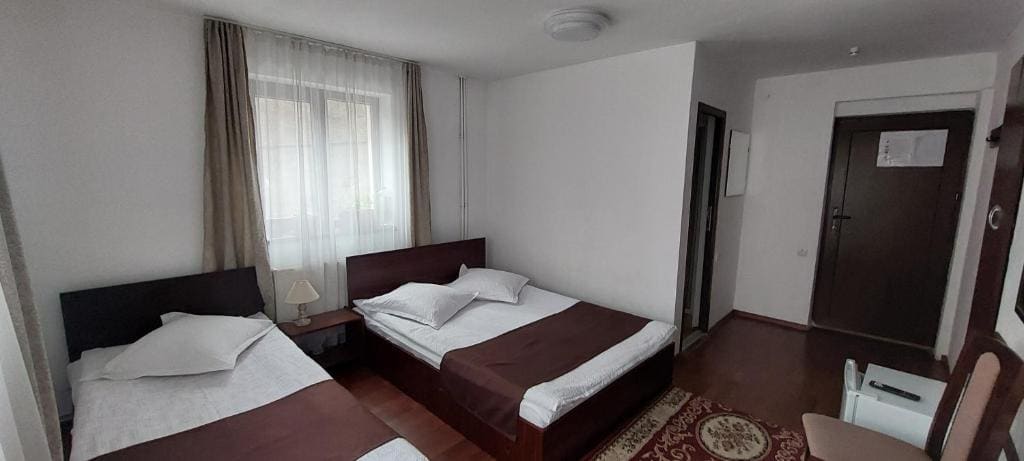 CASA RYANA SINAIA - View 7