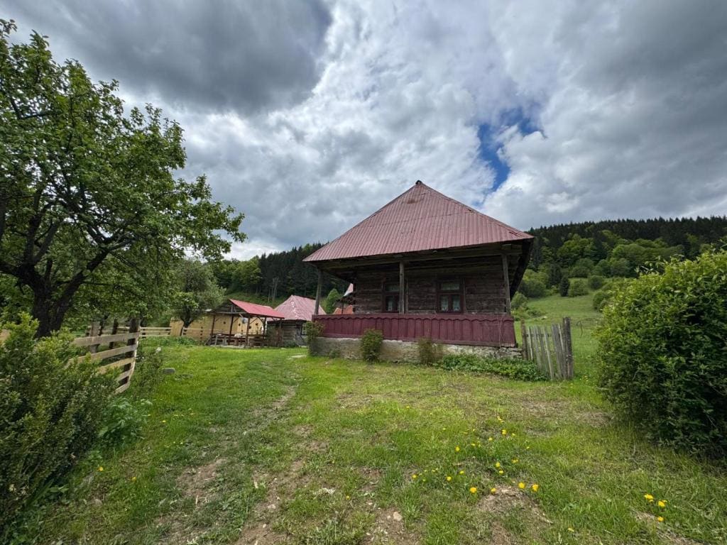 Glamping - Casuta de pe Fiad - View 4