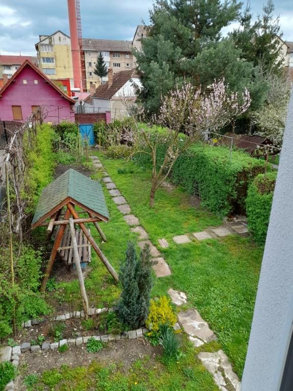 Ludo - View 7