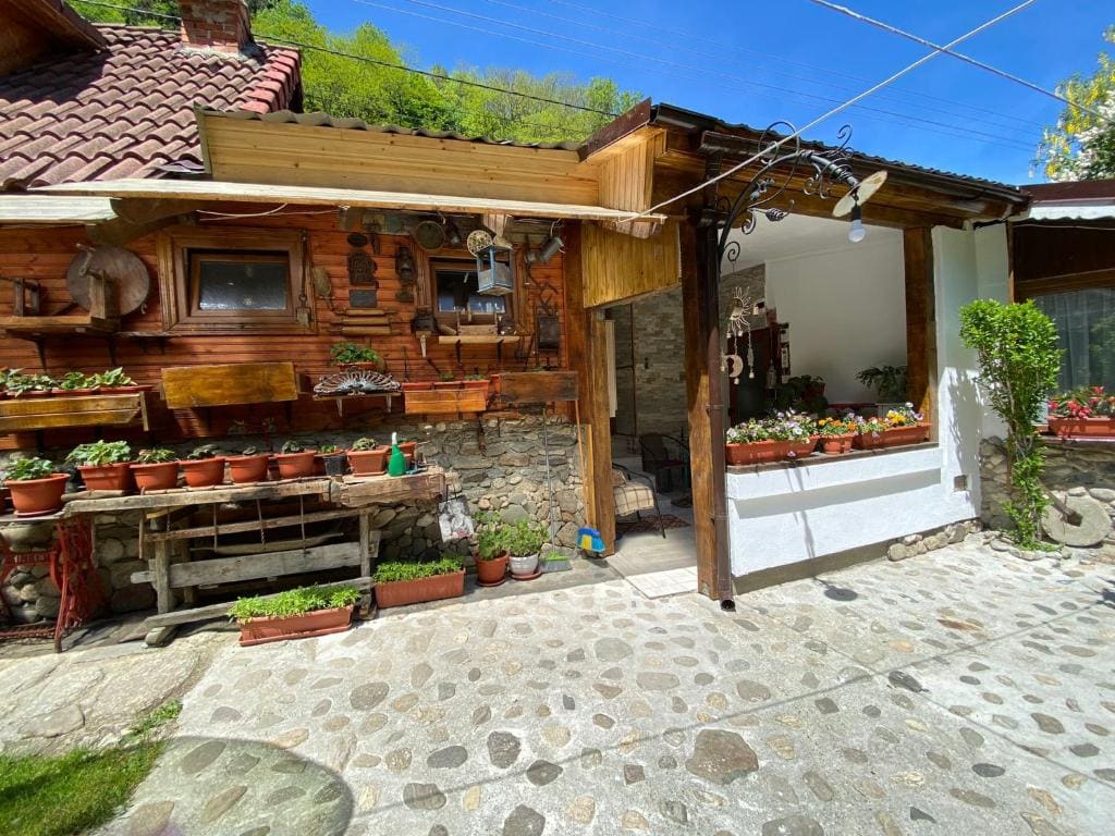 Pensiunea Mioritica - View 4