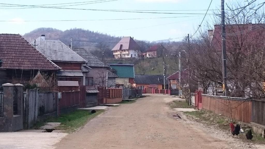 Pensiunea Agroturistica Raluca - Vista 2