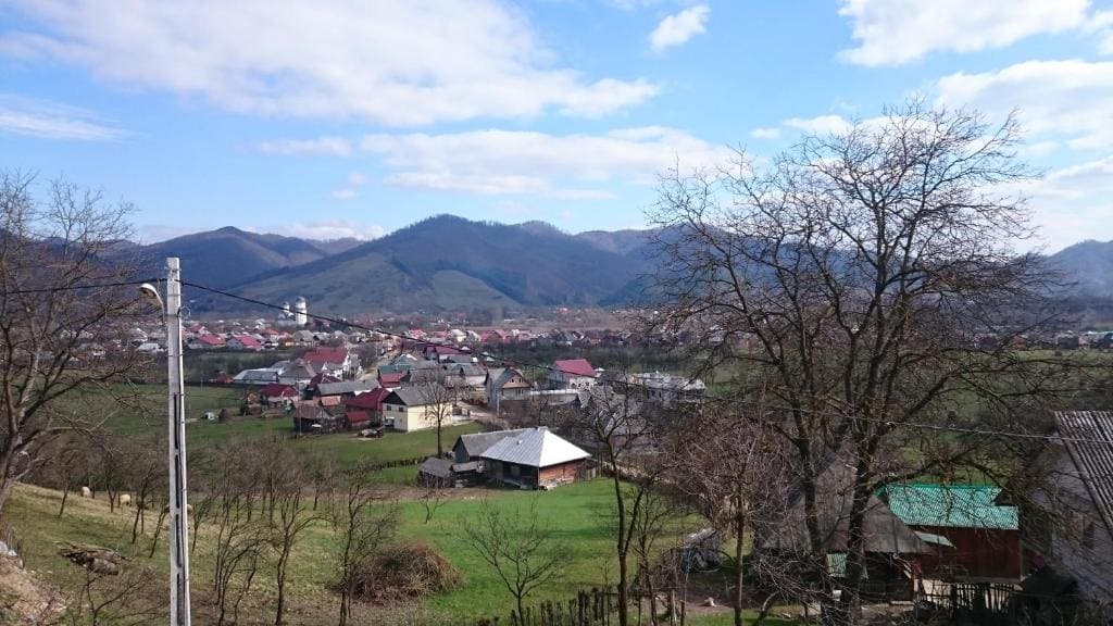 Pensiunea Agroturistica Raluca - Vista 4