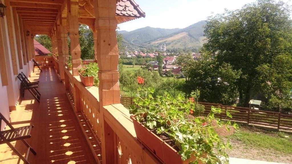 Pensiunea Agroturistica Raluca - Vista 7