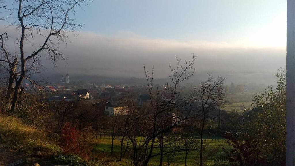 Pensiunea Agroturistica Raluca - Vista 3