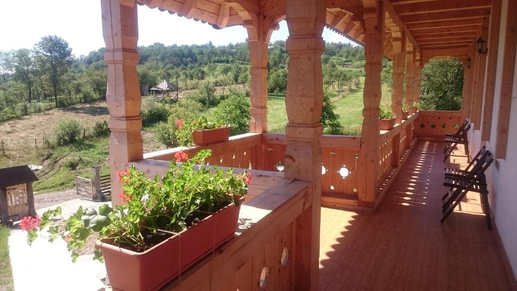 Pensiunea Agroturistica Raluca - Vista 6