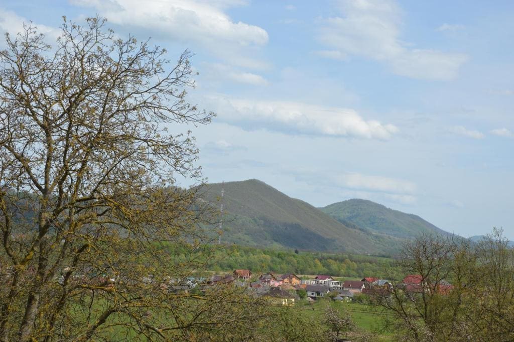 Pensiunea Agroturistica Raluca - Vista 5