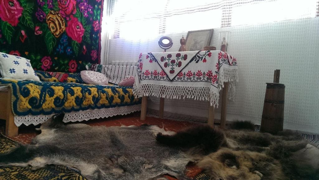 Pensiunea Bety - View 4
