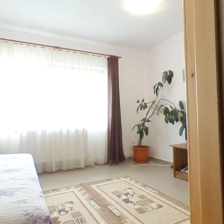 Pensiunea Colț de rai - View 5