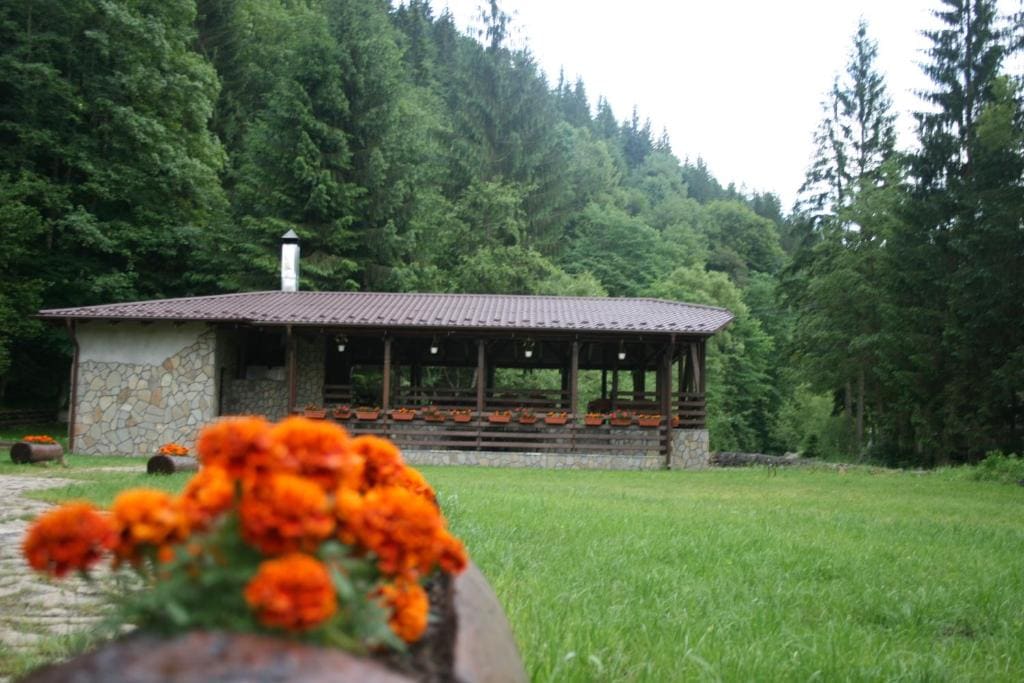 Pensiunea Denisa - Foto principal