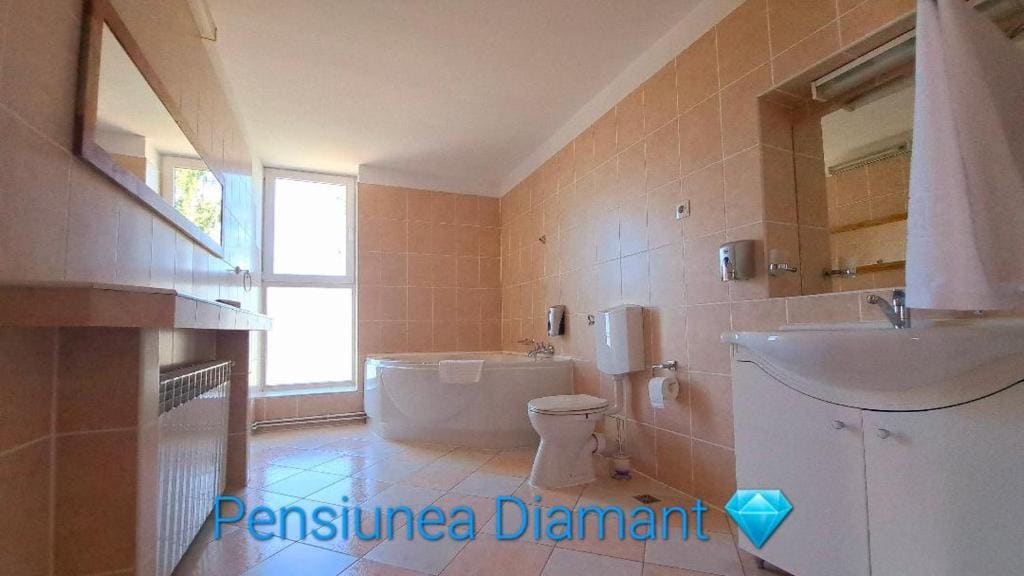 Pensiunea Diamant - View 6