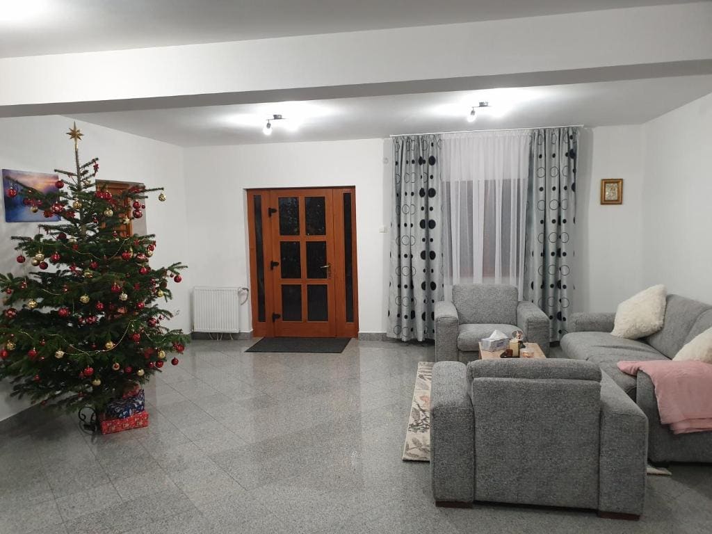 Casa Sandu-Sadova - View 2