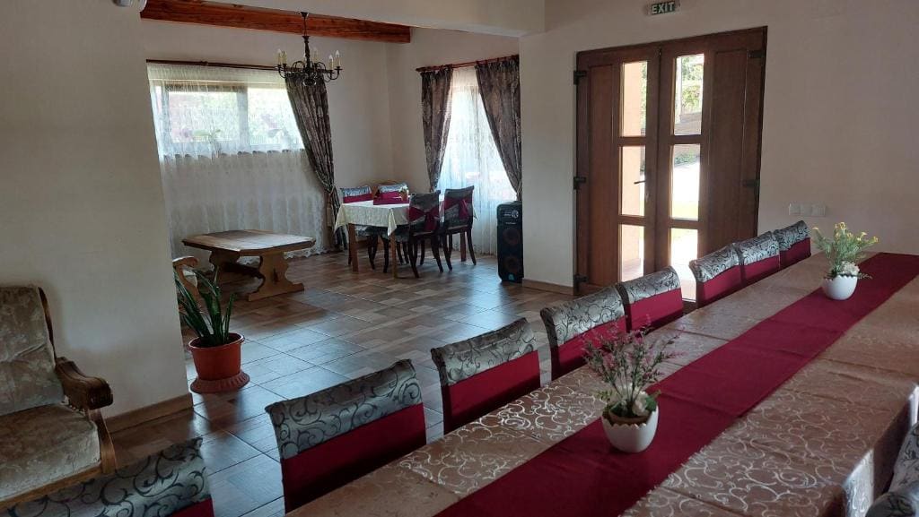 Pensiunea Romosan - View 4
