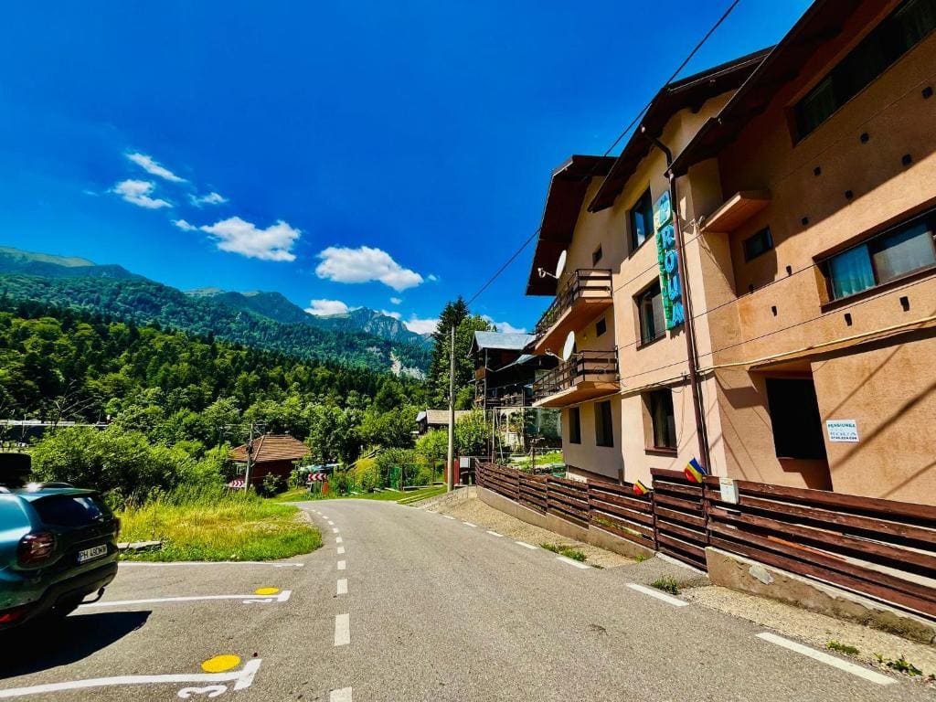 Pensiunea Roua - Mountain View - View 4
