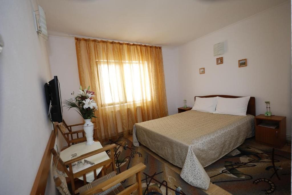 Pensiunea Ruxi - View 2