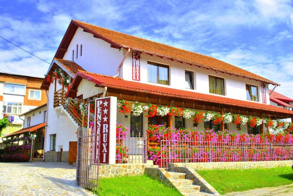 Pensiunea Ruxi - Main view