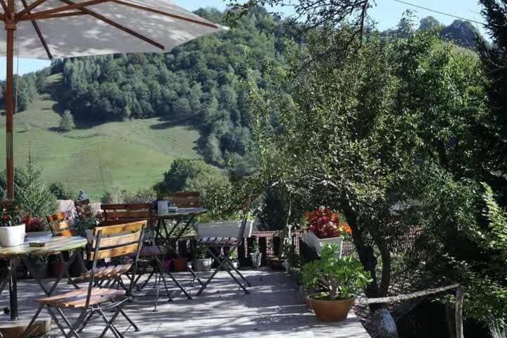Bran and Breakfast - View 3