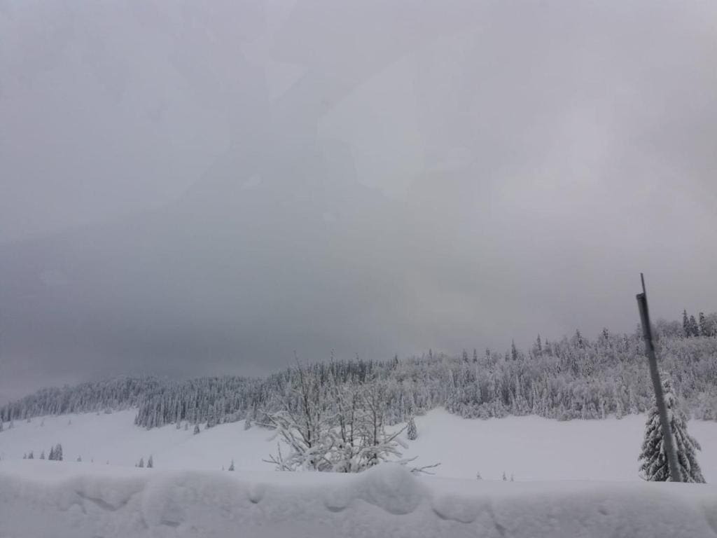 Pensiunea Simiriam Apuseni, Padis - View 3